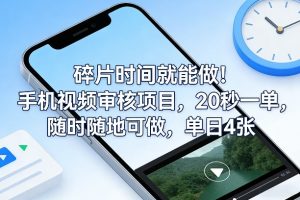 碎片时间就能做！手机视频审核项目，20秒一单，随时随地可做，单日4张+【揭秘】-网创资源站