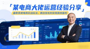 某电商大佬运营经验分享，最新系统电商实战玩法，跳出低毛利实现高效盈利(更新)-网创资源站