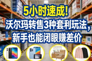 5小时速成！沃尔玛转售3种套利玩法，新手也能闭眼賺差价-网创资源站