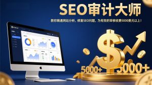 SEO审计大师：教你精通网站分析，修复SEO问题，为有效的审核收费5000美元以上！-网创资源站