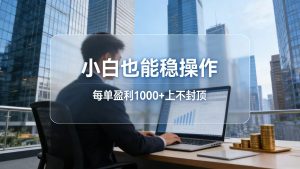 2026新项目，小白也能稳操作，每单盈利1000+上不封顶-网创资源站