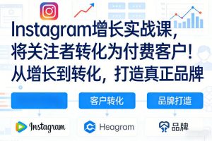 Instagram增长实战课,将关注者转化为付费客户!从增长到转化,打造真正品牌(双语字幕)-网创资源站