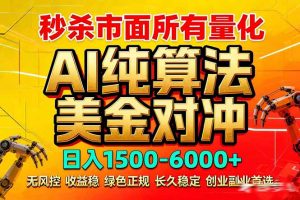 2026全网首发黑马项目，AI美金算法对冲，日入2000-6000+，稳定长效0风险，彻底告别996死工资-网创资源站