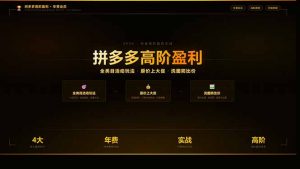 拼多多高阶盈利年费会员：全类目活动玩法、原价上大促、洗图防比价等核心盈利技术(更新26年3月-网创资源站