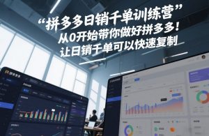 拼多多日销千单训练营,从0开始带你做好拼多多,让日销千单可以快速复制(更新26年3月)-网创资源站