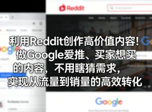 利用Reddit创作高价值内容!做Google爱推、买家想买的内容,不用瞎猜需求,实现从流量到销量的高效转化-网创资源站