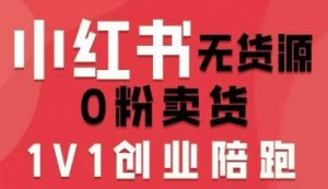 小红书无货源0粉电商课，开店准备、选品策略、笔记撰写、视频剪辑、数据分析、账号打造、资料文档(更新26年3月16日)-网创资源站