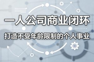 一人公司商业闭环,打造一份不受年龄限制的个人事业-网创资源站