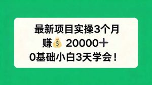 最新项目实操3个月，赚钱20000+，0基础小白3天学会！-网创资源站