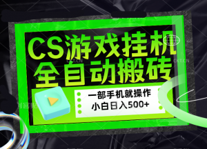 CSGO游戏挂机捡漏搬砖，超稳定的项目，带领1000+小白实现日入500+，数据可视频验证-网创资源站