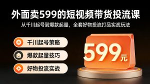 外面卖599的短视频带货投流课:从千川起号到爆款起量,全套好物投流打品实战玩法-网创资源站