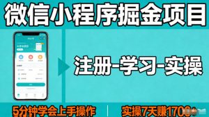 微信小程序掘金项目，项目很简单，5分钟就能学会上手操作，实操7天賺了1700+【揭秘】-网创资源站