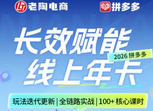 拼多多线上SVIP线上年卡，从认知到基础、从推广到活动、从活动到玩法，全链路实战(26年4月6日更新)-网创资源站