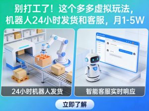 别打工了!这个多多虚拟玩法,机器人24小时发货和客服,月1-5W【揭秘】-网创资源站