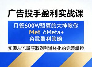 广告投手盈利实战课，月管600W预算的大神教你Meta+谷歌盈利策略，实现从流量获取到利润转化的完整掌控-网创资源站