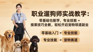 职业遛狗师实战教学：零基础也能学，专业技能 + 接单技巧全教，轻松开启宠物赛道副业-网创资源站