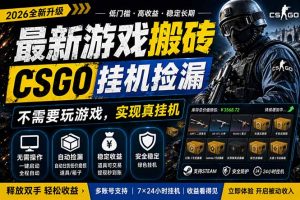 最新游戏搬砖，CSGO纯挂机，不需要玩游戏，实现真挂机，月入1W+，五一小高峰上车可吃肉，…-网创资源站