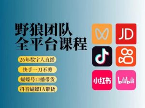野狼团队2026新版全平台短视频带货教学，打开流量突破口，开始Ai带货(更新26年4月25日)-网创资源站
