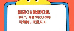 上班也能玩的酒店CK数据归集，一单0.7单窗口每天可做100单，一个人就能矩阵操作【揭秘】-网创资源站