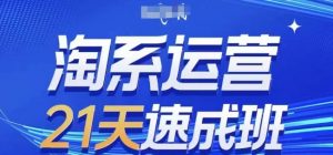 淘系运营21天速成班，0基础轻松搞定淘系运营，不做假把式，快速复制落地(更新26年4月)-网创资源站
